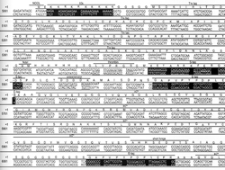 Chemical Sequence Drawings