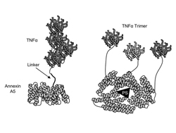 Chemical Structure Drawings